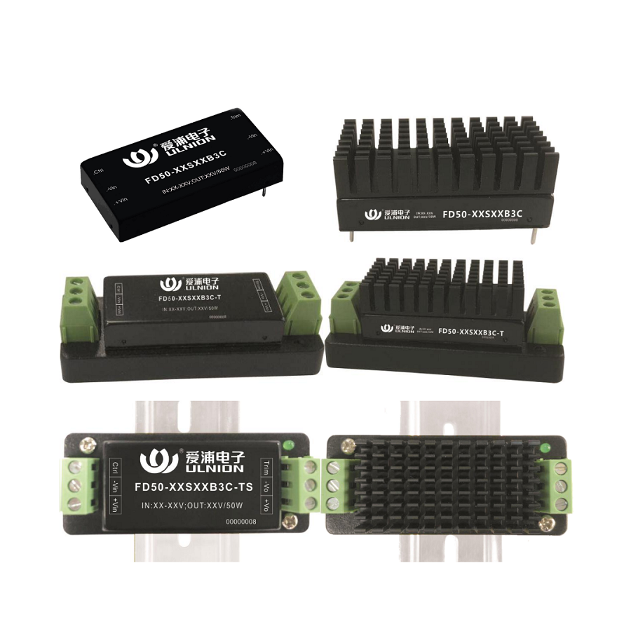 FD50-110S24B3C3-H-AIPULNION