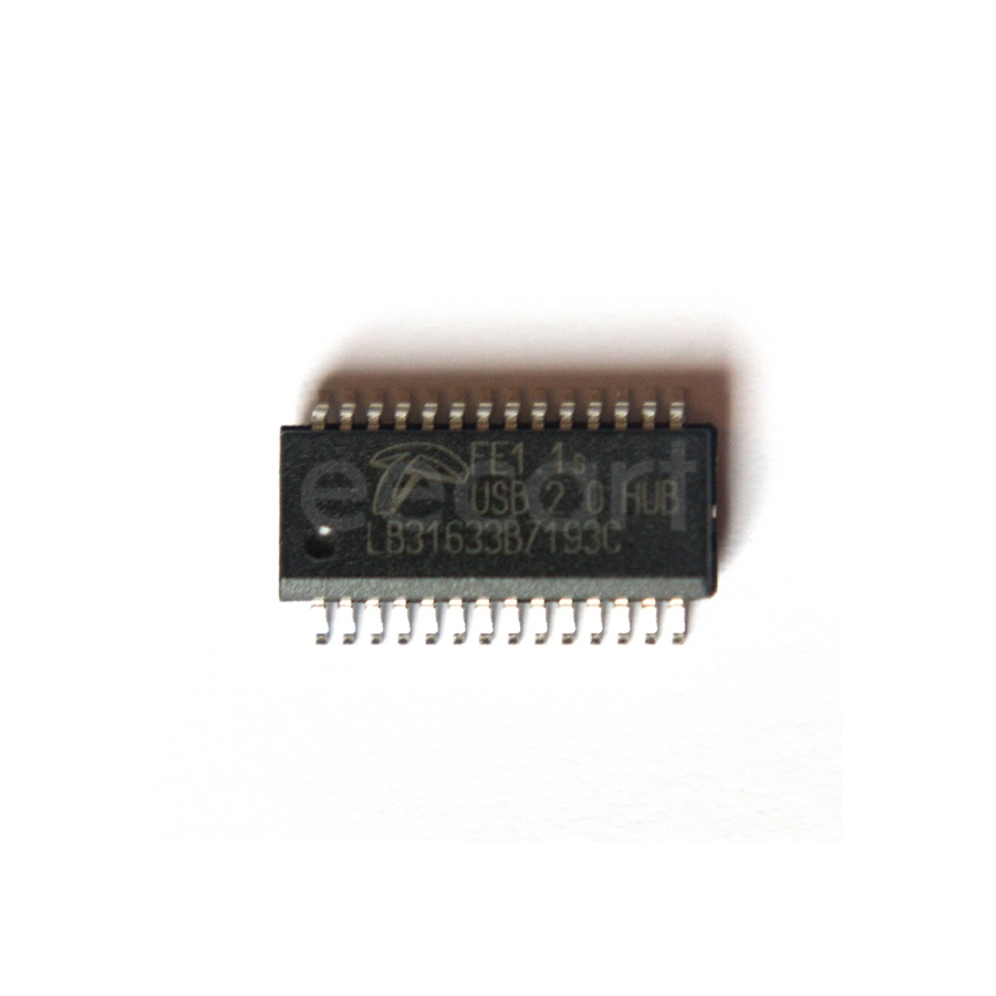 FE1.1S-Terminus